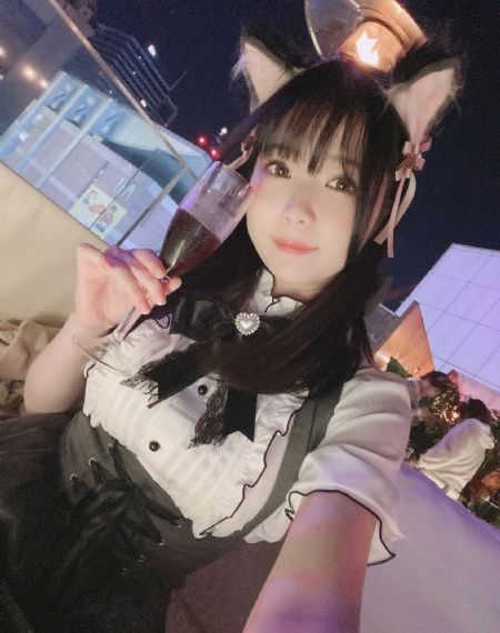 风月锦囊电视剧免费观看剧情