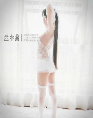哈利波特5凤凰社免费观看原声版