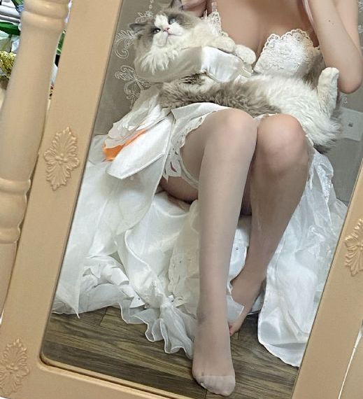 前夫求复婚短剧免费观看全集